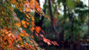 РЫЖАЯ ОСЕНЬ. Песня для позитива!