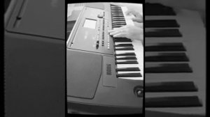 KORG PA 300 ARAP ZURNA