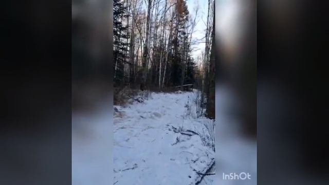 зонакомфорта Зимняя рыбалка ЕАО ленок р.Помпеевка декабрь 2020г