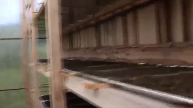 Супер - сушилка для иван - чая!