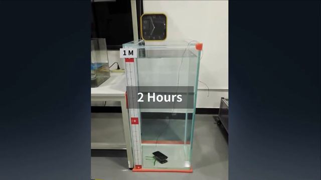 Chainway C6000 / C70 Тестирование на водонепроницаемость (Water proof Test)
