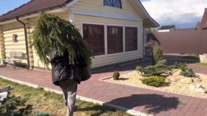 Сербская Пендула посадка