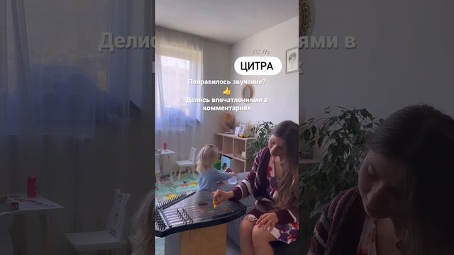 Аккордовая цитра - струнный щипковый музыкальный инструмент родом из Германии.