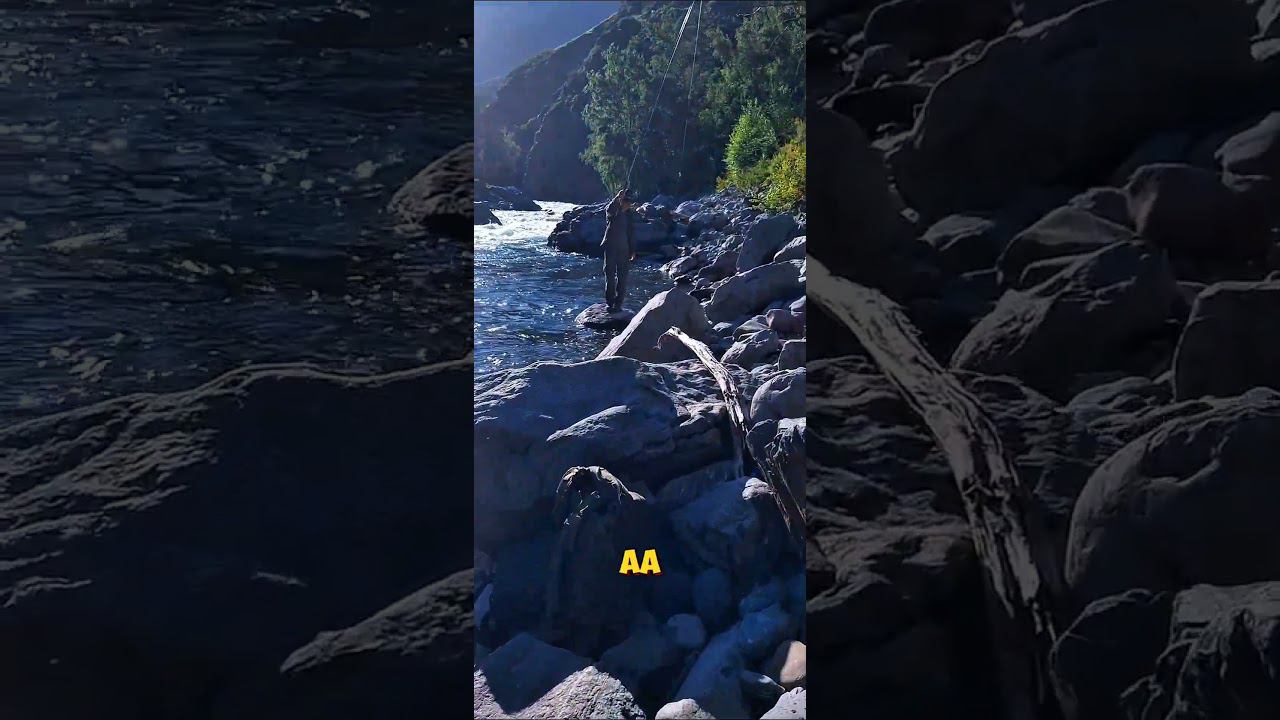 Вот как выглядит поимка Хариуса #водомет #fishing #горныйалтай #хариус смотреть онлайн