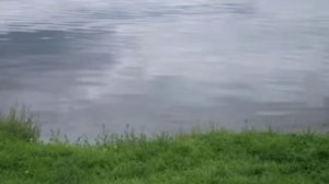 Мое село Новогромово