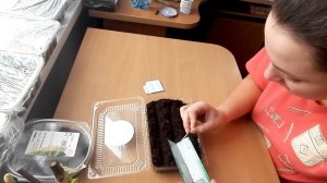 Посадка семян петуний без оболочки