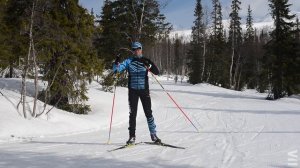 Урок №4. Двухшажный подъёмный коньковый ход