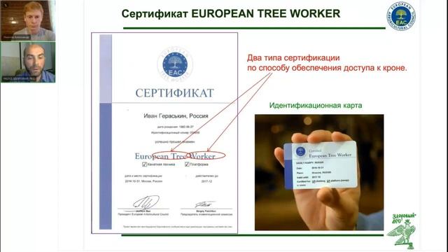 Арбористика. Уход за деревьями
