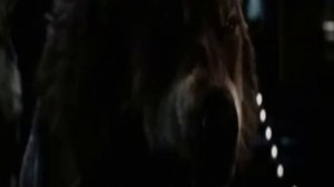 twilight saga breaking dawn part 2 (Комиссар - Адреналин)