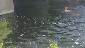 Парни на речке)