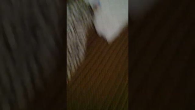 дача лены 2 смотреть онлайн