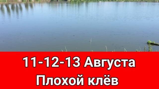 Календарь рыбака на Август Прогноз клева рыбы на эту неделю Календарь клева Август 2022