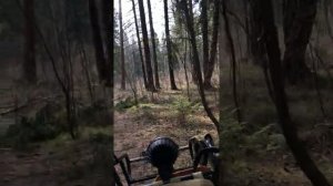 Мотоцикл Скаут-2 покатушки Лес