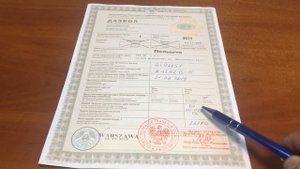 Белорусское разрешение (дозвол). Как заполнить разрешение (Дозвол) на перевозку в Белоруссию