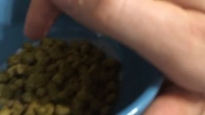 Охмеление сусла😋