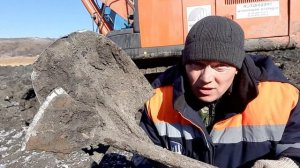 Как правильно,  и почему чистить ходовую на экскаваторе