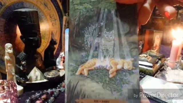 Таро обзор колоды "Мистические Кошки"Чехия смотреть онлайн