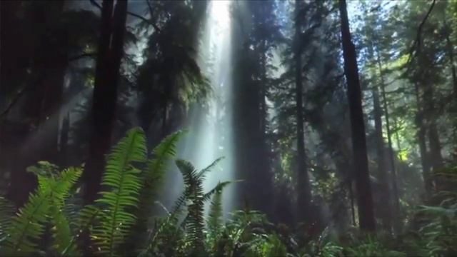 Нежная музыка для сна смотреть онлайн