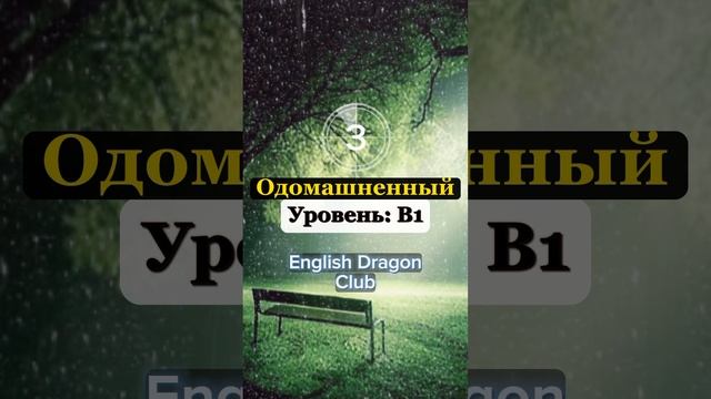 (29) ПЕРЕВЕДИ ЭТИ СЛОВА БЫСТРЕЕ ЧЕМ Я, слова на английском языке #английский #английскийязык #шортс