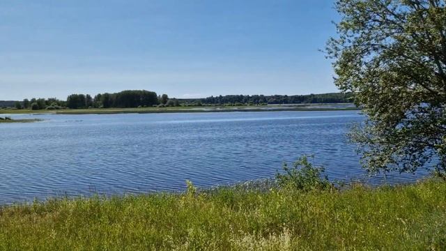 Рыпы 2022. Река Юхоть (29.06.2022). смотреть онлайн