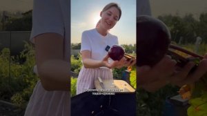 Слаще меда?Свекла Детройт Рубиновый - дегустация и обзор сорта УСАДЬБА-СЕМЕНА | usadba-semena.ru