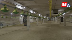 Масштабная реконструкция одного из цехов завершилась на птицефабрике под Шексной