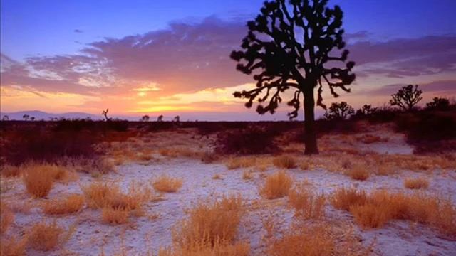 Псалом 25, Псалом Давида смотреть онлайн