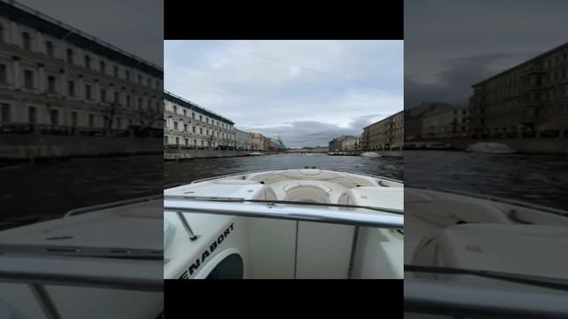 Любим свою работу! Спасаем деревья с 2009 года