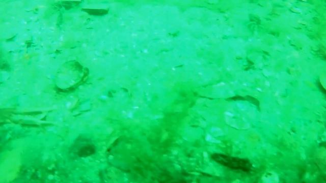 Один день водолаза промысловика Рапана смотреть онлайн