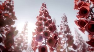 Реклама автомобиля Audi A6 Avant