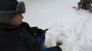 Новый Вагиль 03.2021