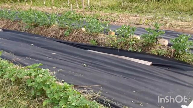 #Порядочная ферма 2 смотреть онлайн