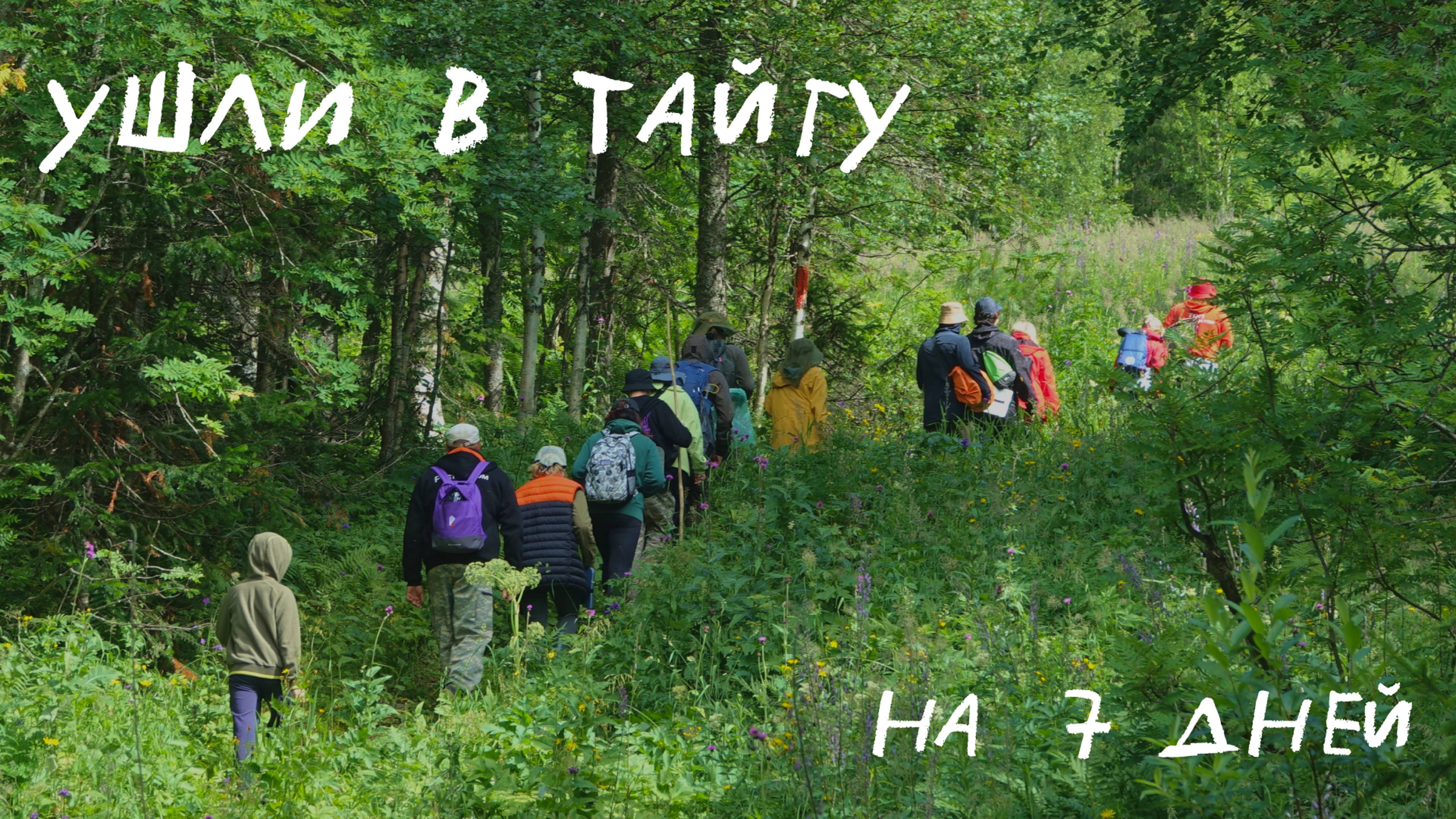 Ушли в тайгу на 7 дней и не пожалели: сплав в Пермском крае по реке Вишера, городские в лесу ✌🏻