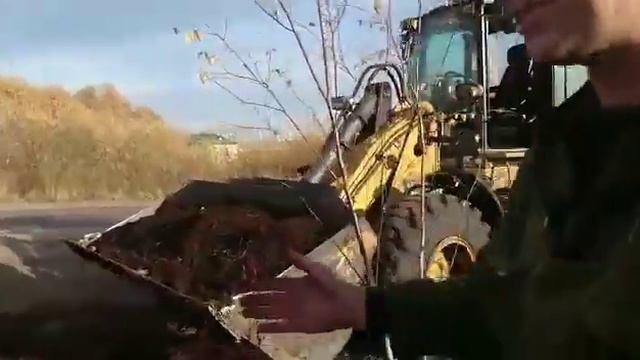 Посадка портовиками деревьев в рп. Ванино. 09/10/2017. смотреть онлайн