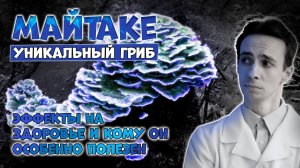 Майтаке - уникальный лечебный гриб при ожирении, диабете, раке... Кому он особенно полезен.