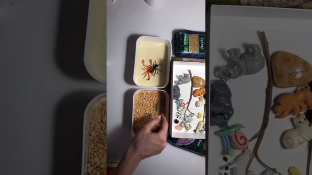 Сенсорная коробка дома от логопеда Семейного Центра АСТРЕЯ