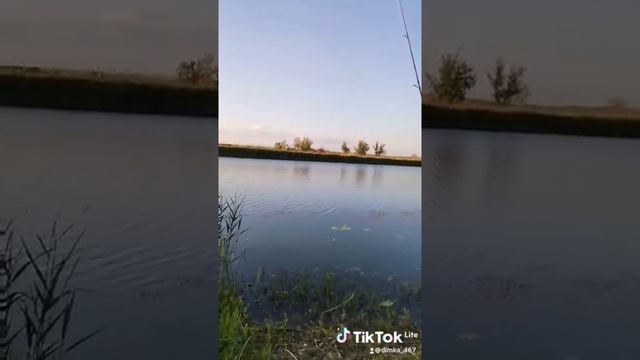 Рыбалка на Сазана дикарь смотреть онлайн