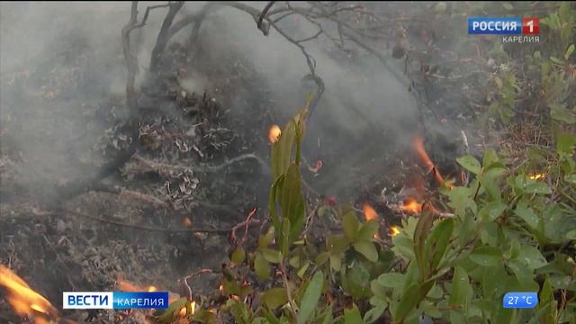 В Карелии ожидается повышение класса пожарной опасности смотреть онлайн