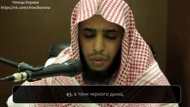 Умайр шамим