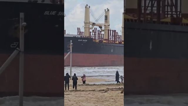 сухогруз голубая акула в витязево