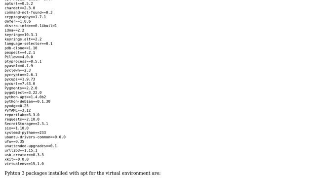 Python Virtual Environment - sys.path