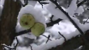 Е Камбурова   МОЛИТВА