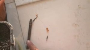 Снасть для ловли на течений для дальнева заброса донка для спиненга мой мантажь .