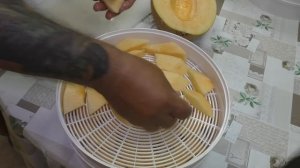 Дыня в электросушилке/Dried melon