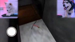 СОБАКИ ИГРАЮТ В GRANNY 1►МОД ГРЕННИ ЭЛЬЗА Прохождение!  DOGS PLAY IN GRANNY! КАК СБЕЖАТЬ #1