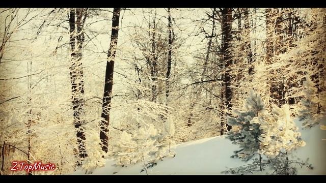 СЕВЕРНЫЙ КРАЙ