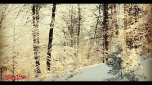 СЕВЕРНЫЙ КРАЙ