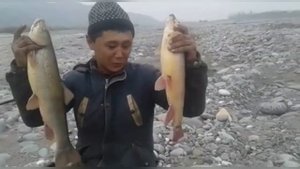 Рыба маринка Узген