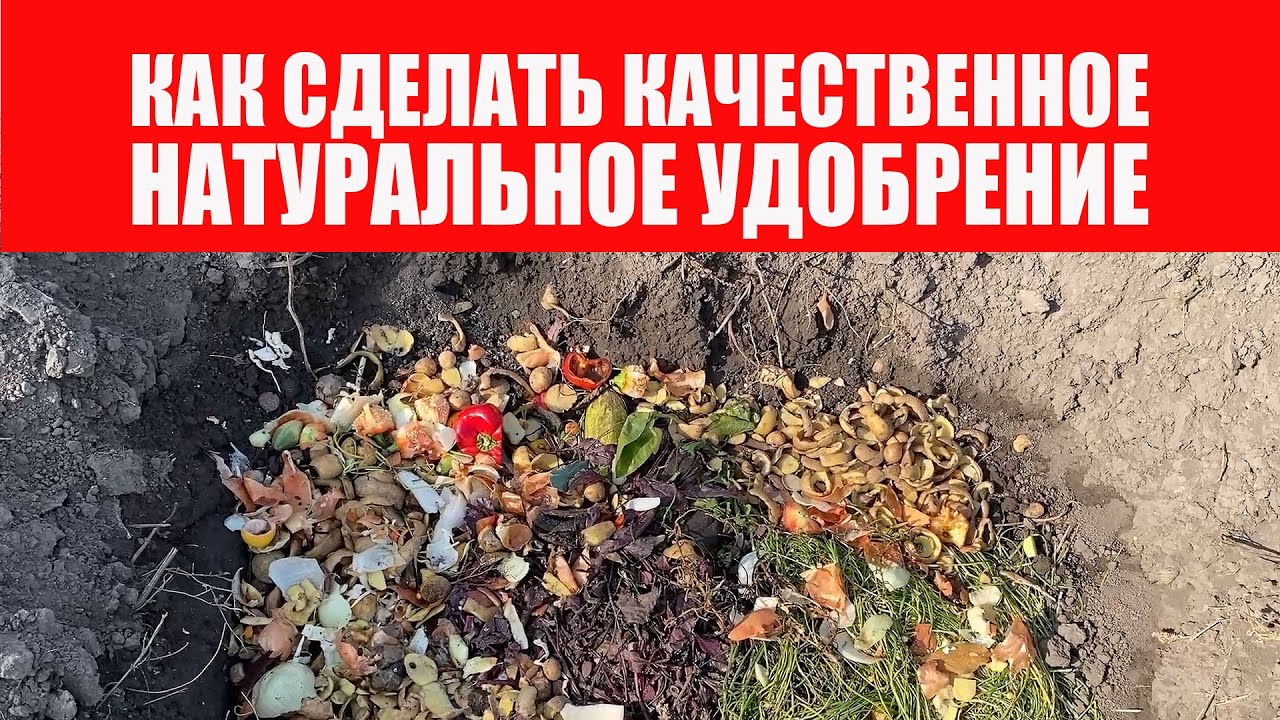 Органическое Земледелие. Как Сделать Натуральное Удобрение