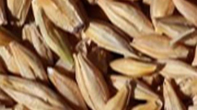 Чудесные зерна.Тибетская сказка смотреть онлайн